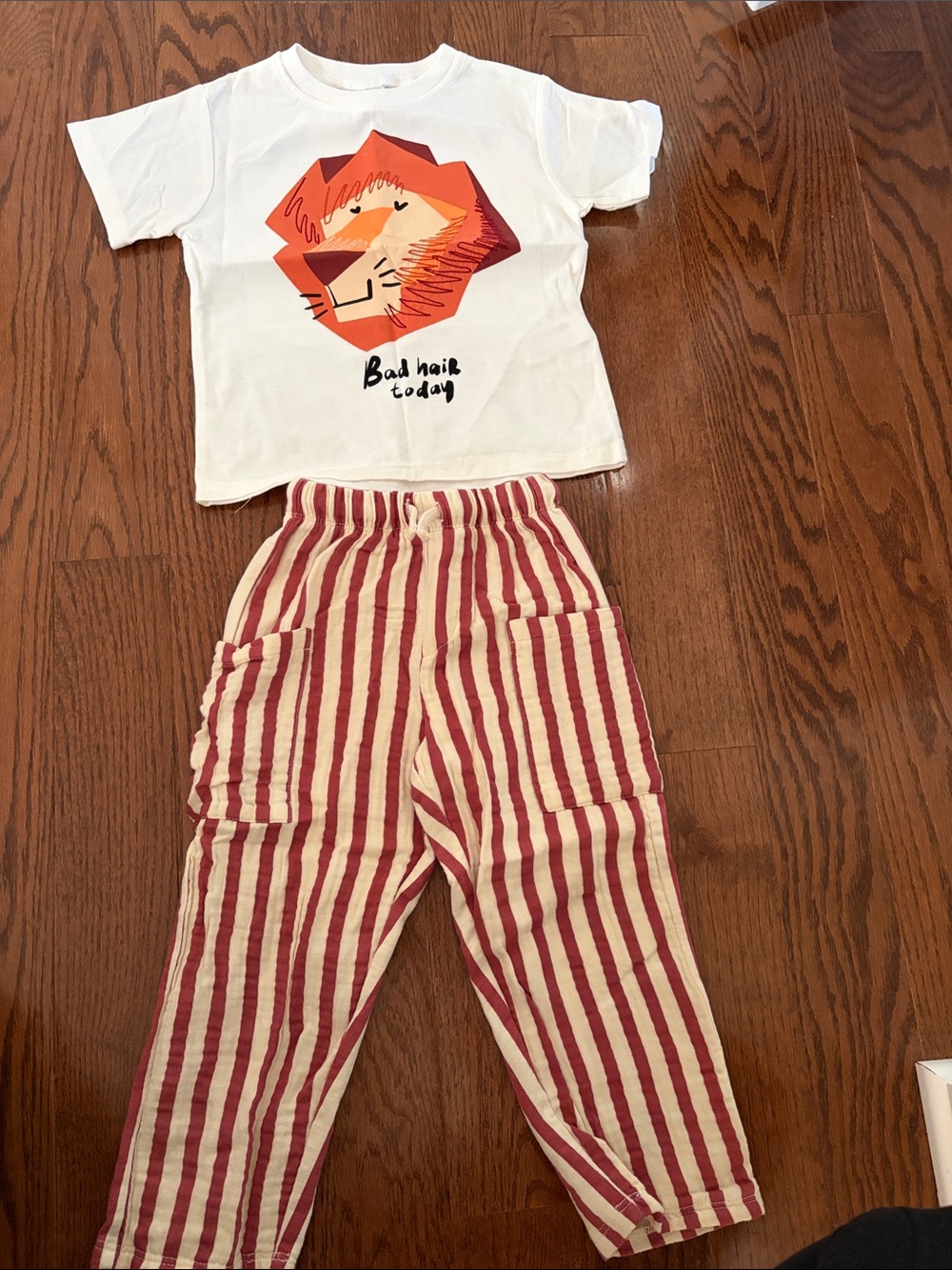 Zara Kids White Graphic Tee and Red-Striped Pants Set top sz 3 bottom sz 4